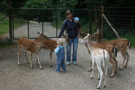 IMG_1737.jpg