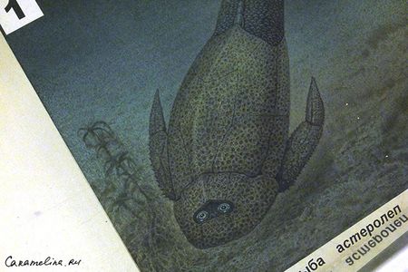 DSCF1739.jpg