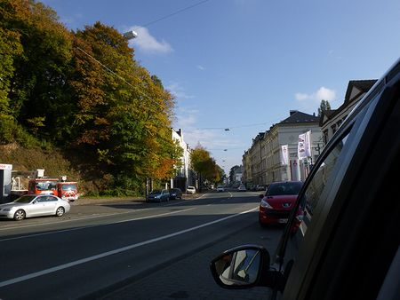 P1100773.jpg