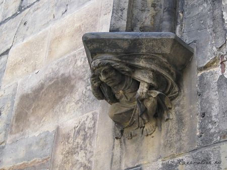IMG_1516.jpg