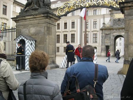 IMG_1642.jpg
