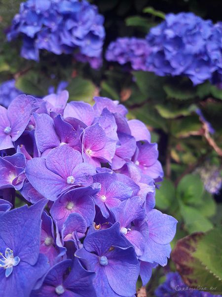 20170630_151424.jpg