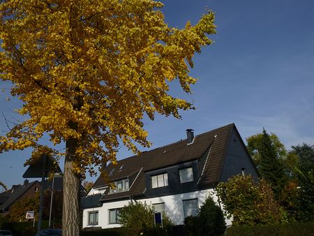 P1100943.jpg