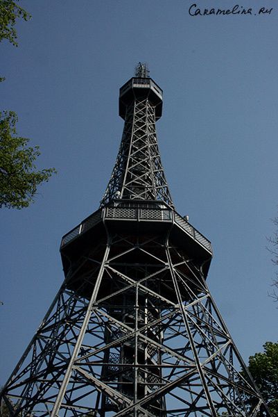 IMG_6390.jpg