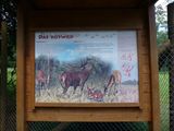P1080936-600x450.jpg