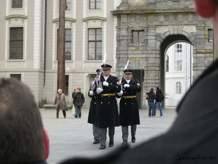 IMG_1644.jpg