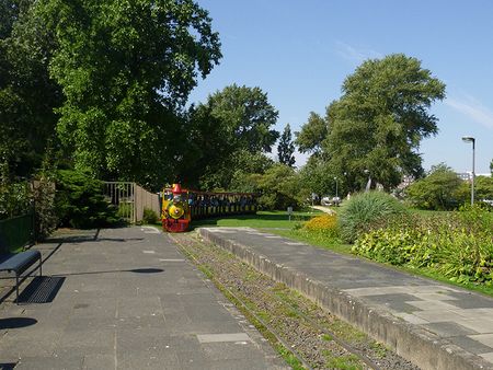 P1100135.jpg