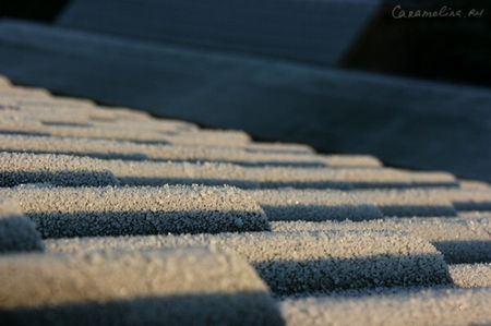 IMG_0752-600x398.jpg