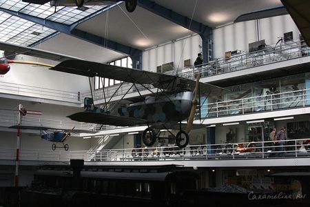 IMG_3861.jpg