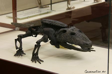 IMG_8417.jpg