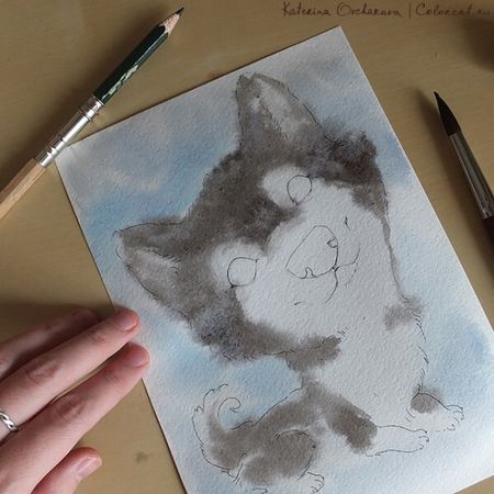 Рисунки