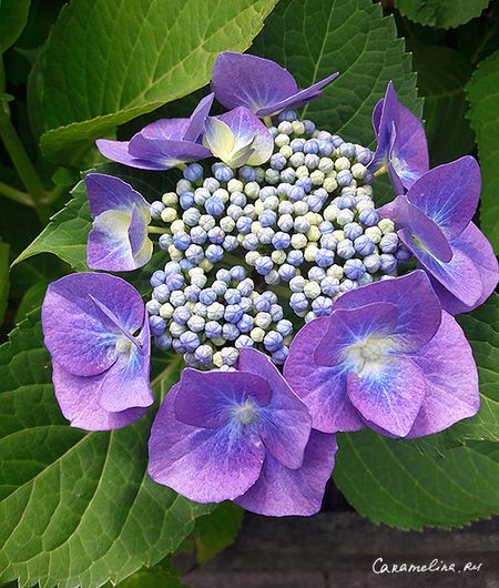 20170703_133722.jpg