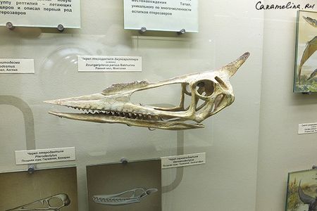 DSCF1746.jpg
