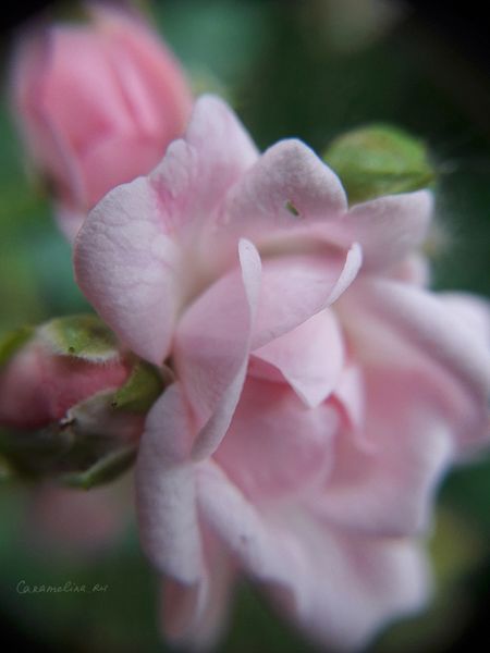 20170627_084931.jpg