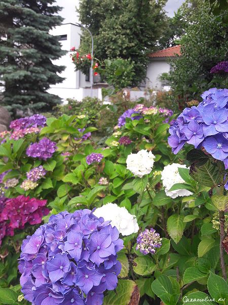 20170630_151440.jpg