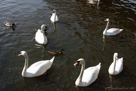 IMG_3561.jpg