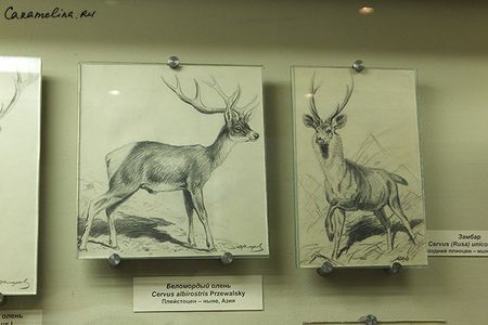DSCF1760.jpg