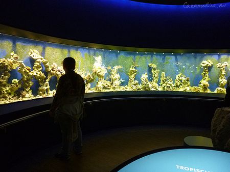 P1180484.jpg