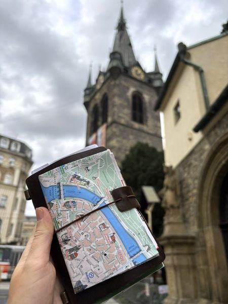 Иллюстрация без описания