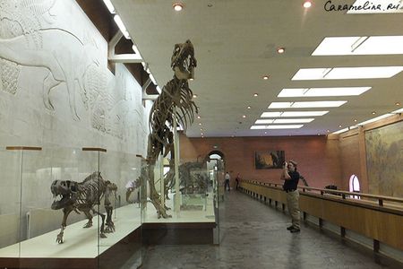 DSCF1747.jpg