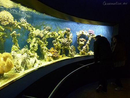 P1180497.jpg