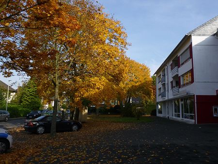 P1100933.jpg