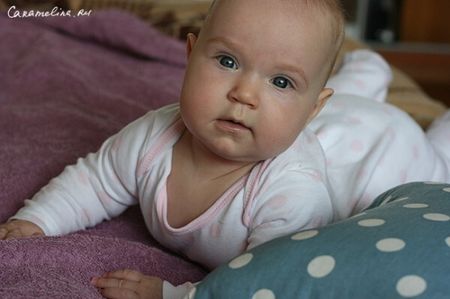 IMG_0090-600x399.jpg