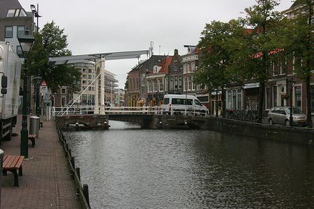 IMG_2055.jpg