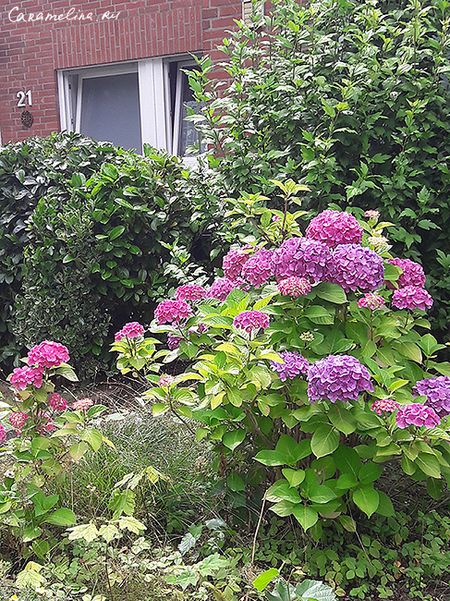 20170703_152947.jpg