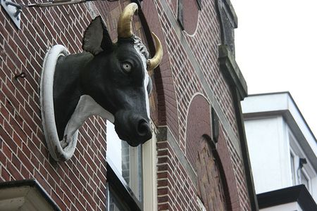 IMG_2083.jpg