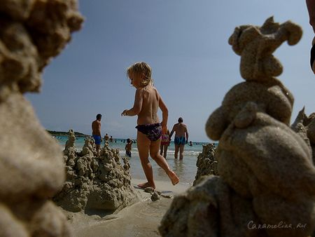 P1180156.jpg