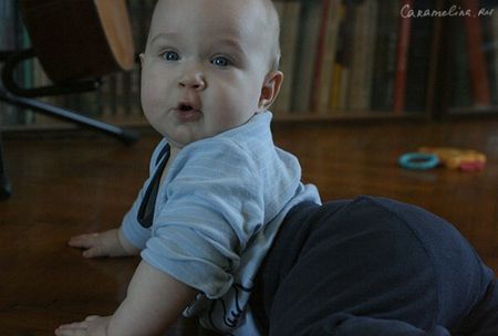 IMG_0816-600x405.jpg