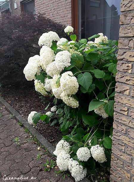 20170704_081552.jpg