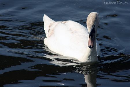 IMG_3567.jpg