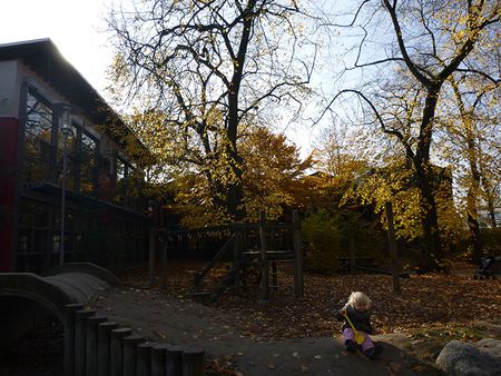 P1100973.jpg