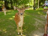 P1080923-600x450.jpg