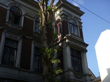 P1100826.jpg