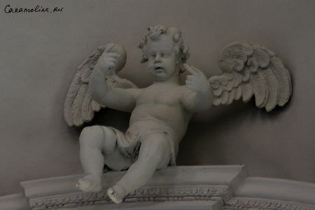 IMG_5037.jpg