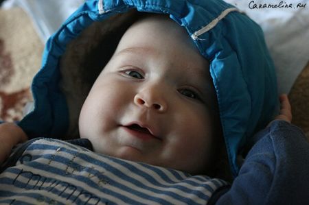 IMG_0779-600x399.jpg