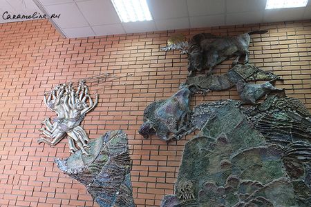 DSCF1761.jpg