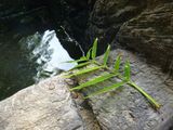 P1080912-600x450.jpg