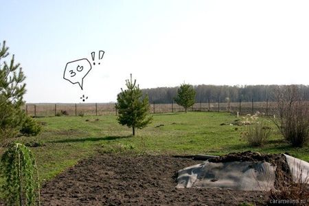 0_4c378_180e8fb7_XL.jpg