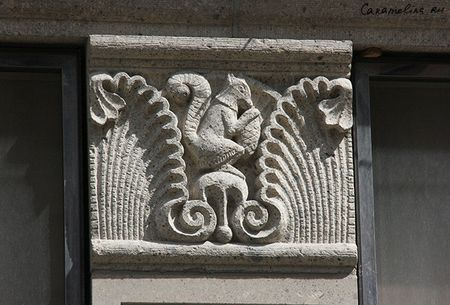 IMG_5068.jpg
