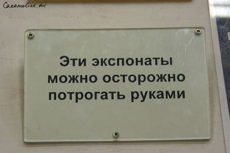 IMG_8409.jpg