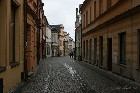 IMG_4117.jpg