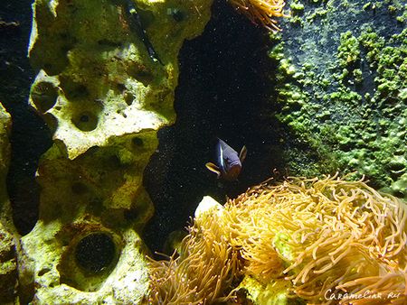 P1180477.jpg