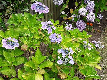 20170703_153157.jpg