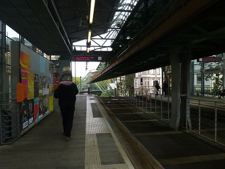 P1100861.jpg