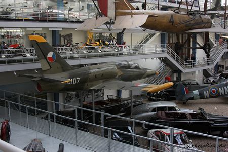 IMG_3894.jpg