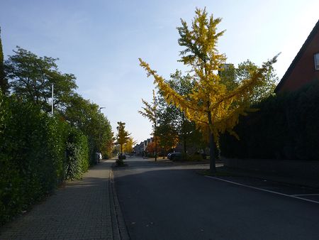 P1100947.jpg